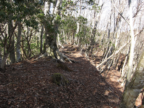 20200110hike (159)